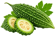Bitter melon (Momordica charantia) fruit