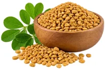 Fenugreek (Trigonella foenum-graecum) seeds